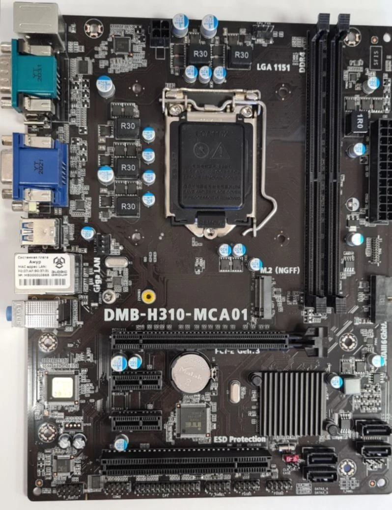 Motherboard DMB-H310-MCA01