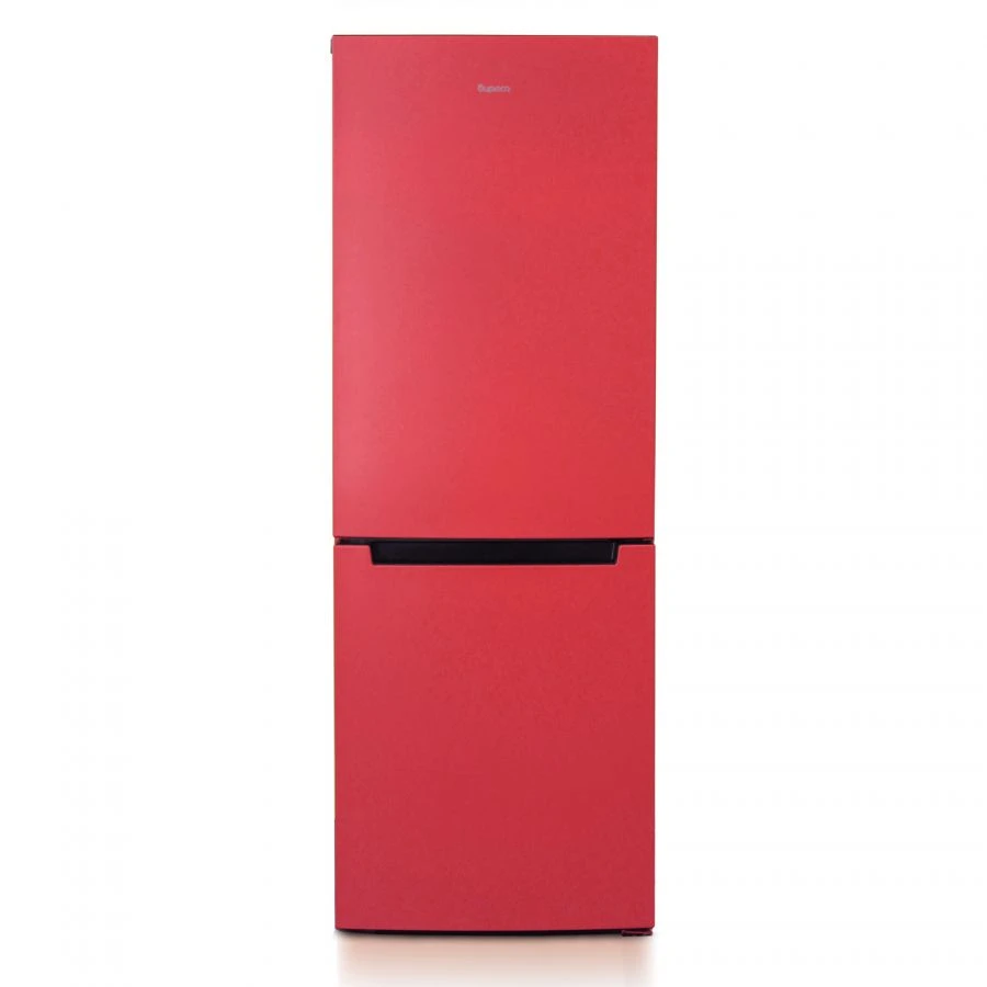 Refrigerator-freezer "Biryusa H820NF"