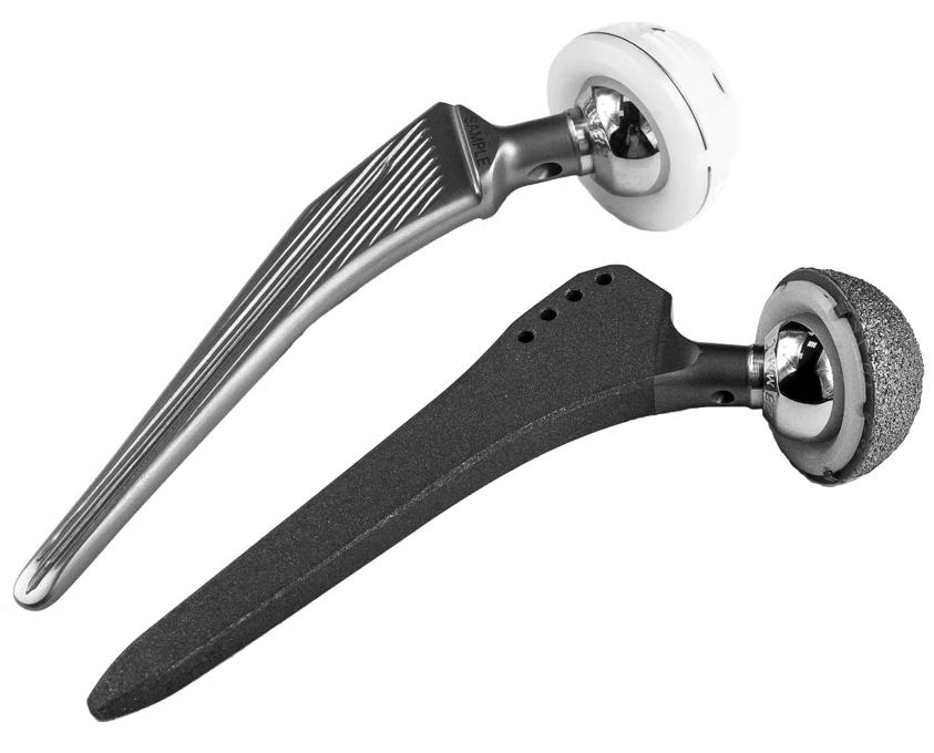 Hip joint endoprostheses in the following designs: - cementless fixation without coating; - cementless fixation with porosity