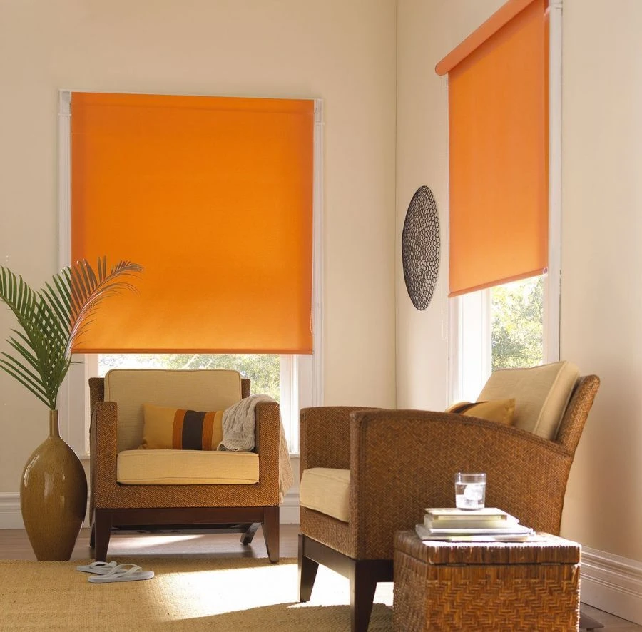 Roller window blinds