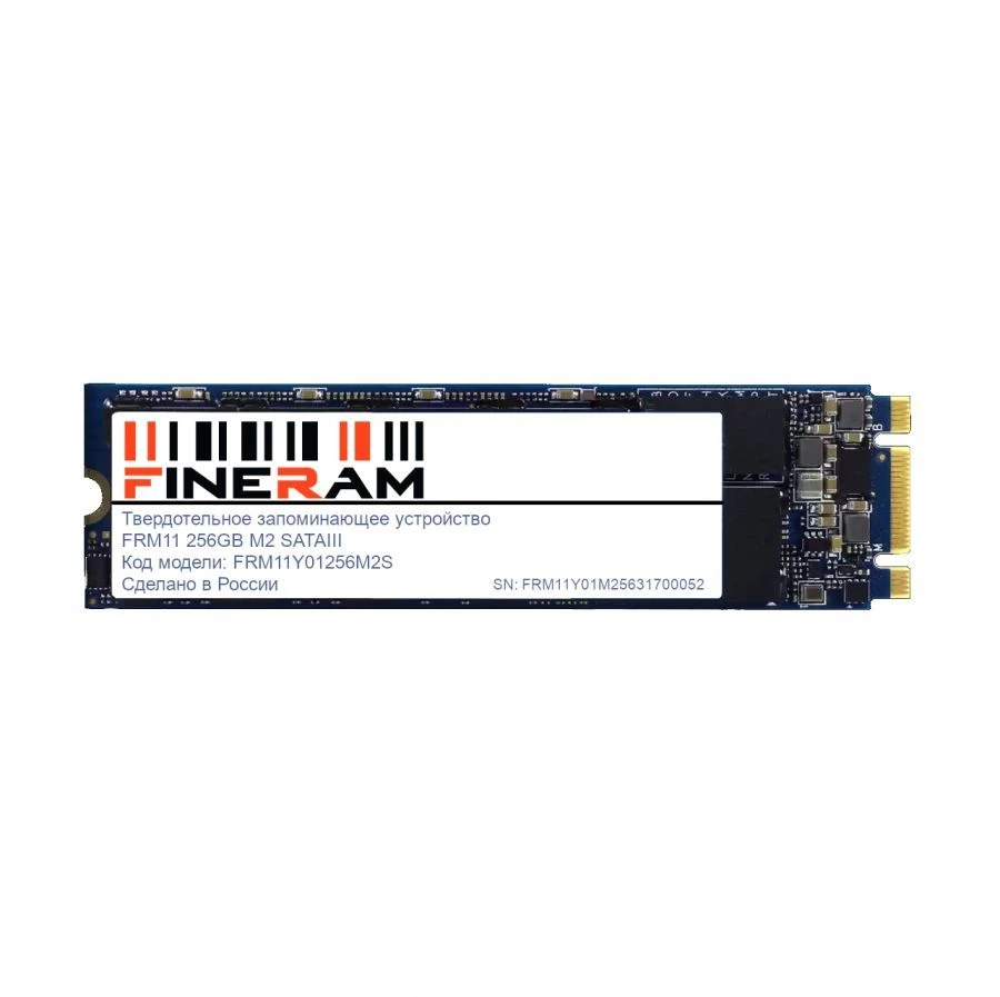 Solid State Drive (SSD) FRM11Y01256M2S