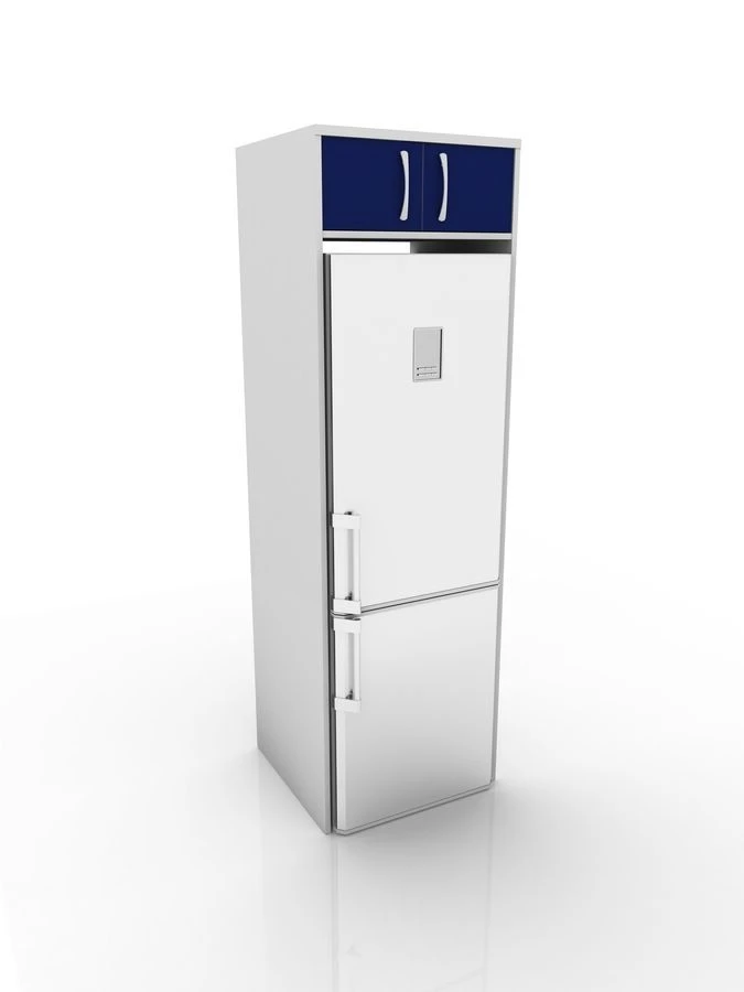 Refrigerator cupboard, 302-002-2, 656x600x2100