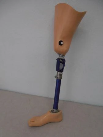 Hip prosthesis for bathing