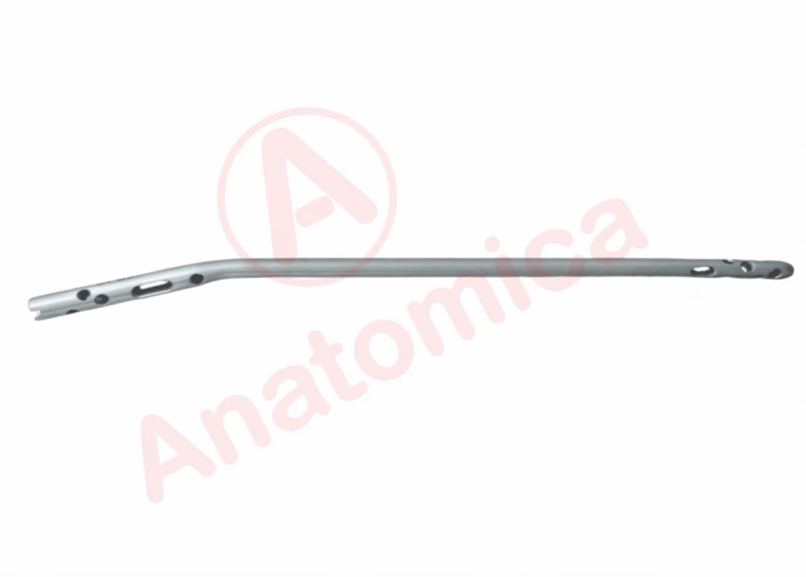 Universal rod for tibia