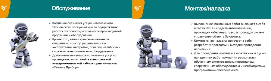 Automation system support and maintenance services (man/day)