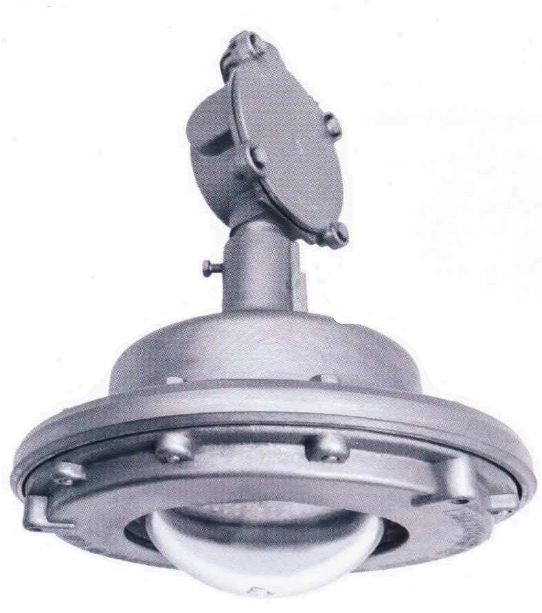 Luminaire DSP Standart Ex