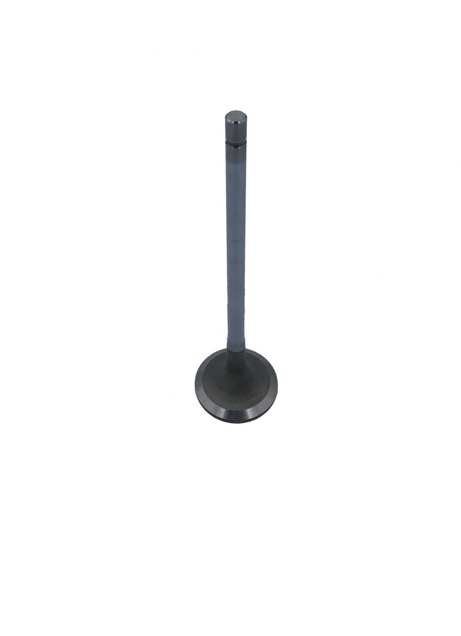 Inlet valve RDG 3641539