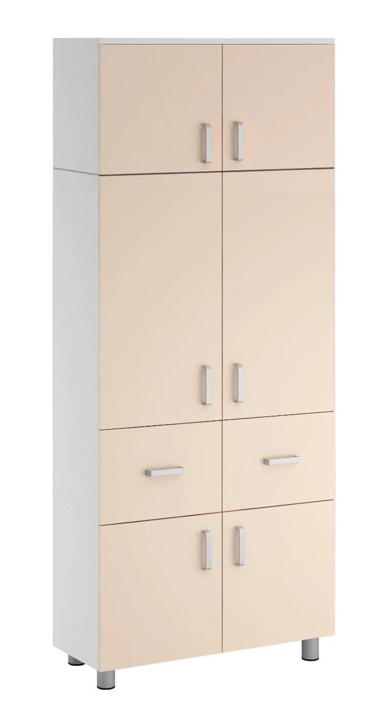 Medical cabinet SK.13.19 (mod.1)