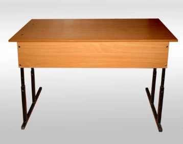 Pupil's desk