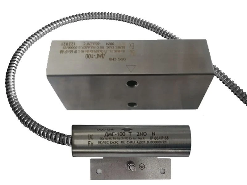 Magnetic reed sensor DMG-100 F (0Ex ia IIC T6 Ga X / RO Ex ia I Ma X)