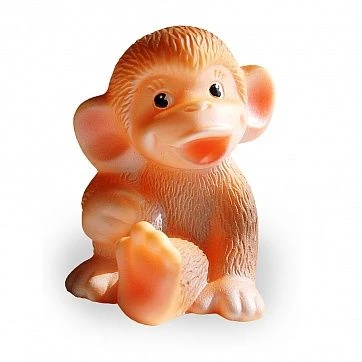 Chichi Monkey