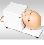 Infant head model for venipuncture, item G3