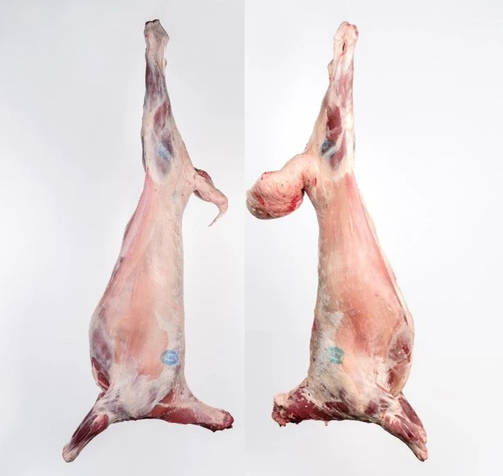 Mutton meat