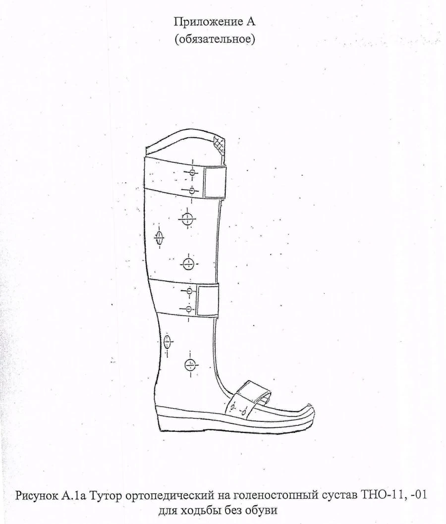 Ankle brace TH0-11