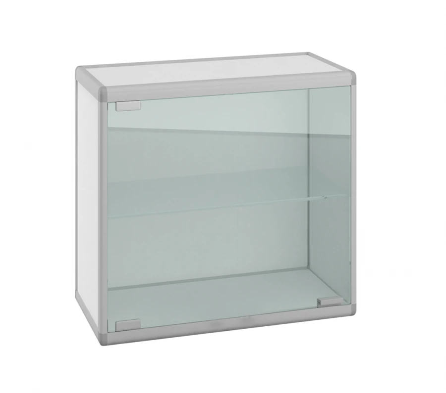 Standard Series Hinged Laboratory Cabinet: ??.01.01.01