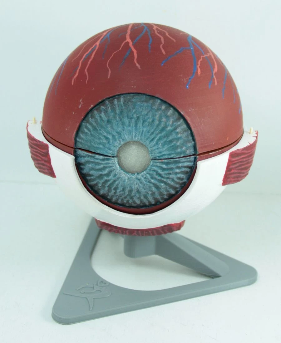Eyeball (6 : 1), ROST-17102 / 17102