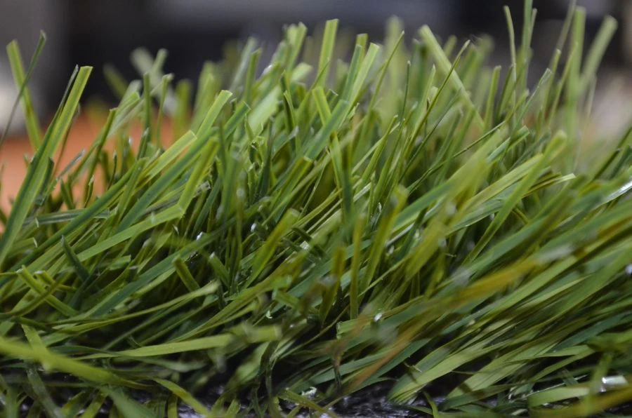 Artificial grass Optigrass Ultra 70 MF