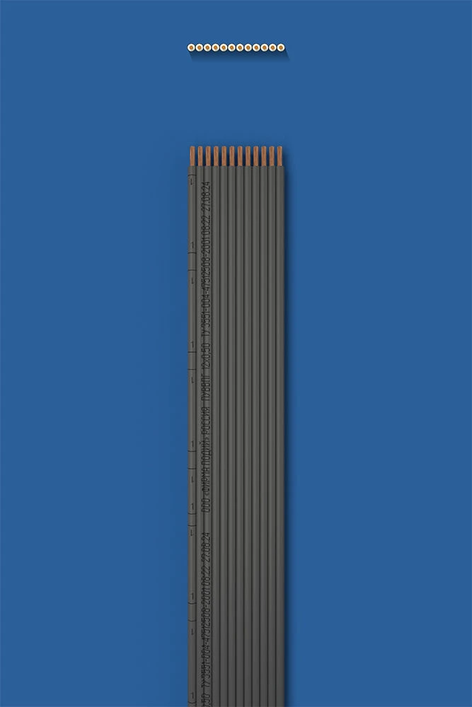 Installation flat wire with two-layer (double) insulation PUVVPG 12õ0,50