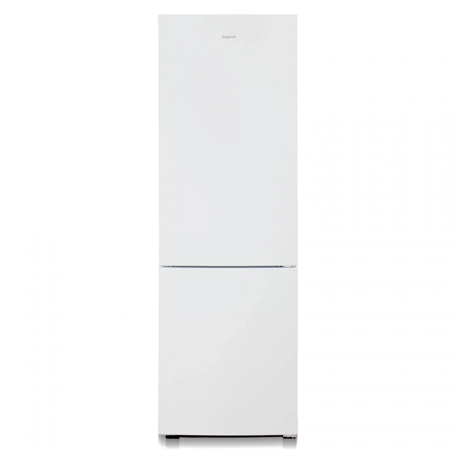 Refrigerator-freezer "Biryusa 6027"