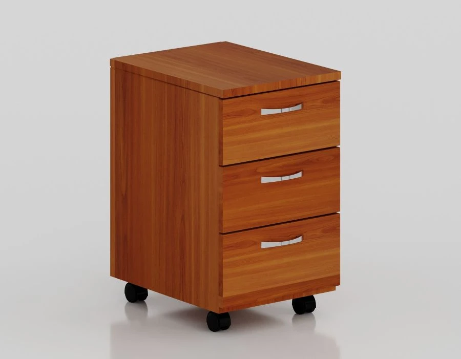 Rolling cabinet for papers