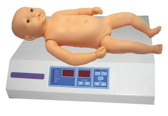 Infant model for auscultation of heart and lungs YRXF