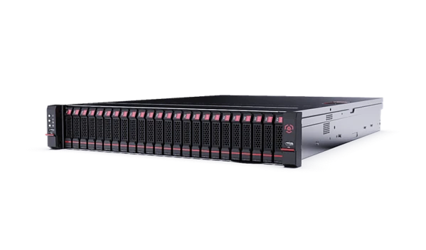 Graviton S2242A server, ECRT.466535.001-24
