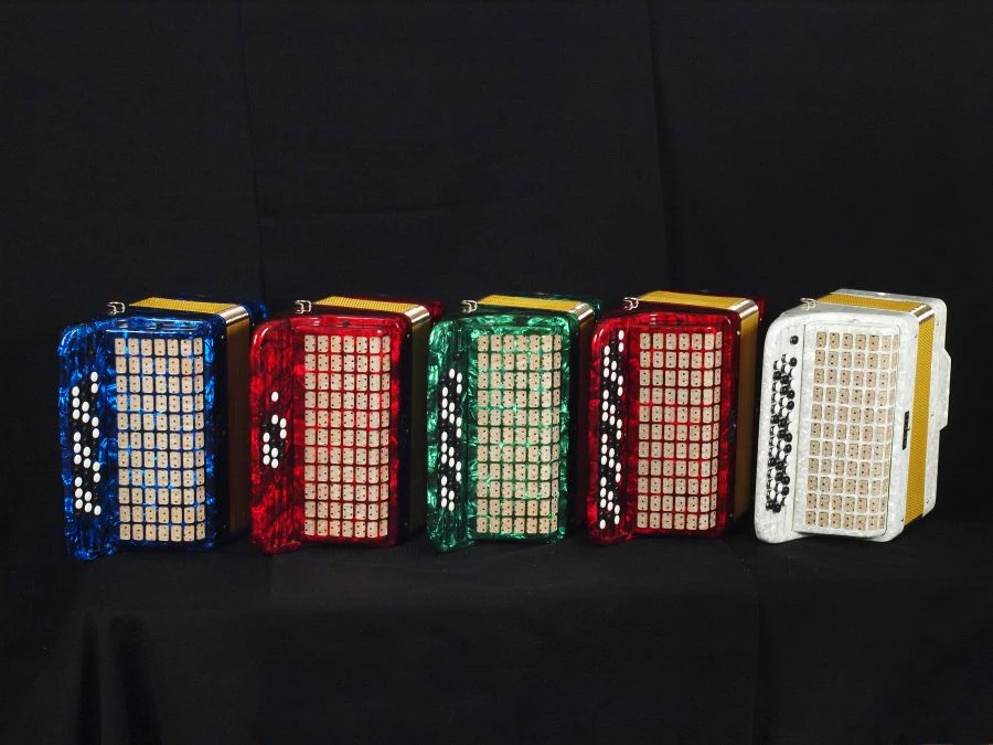 Set of AKKO orchestral accordions for children's music schools