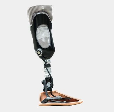 Modular tibia prosthesis, including underdevelopment, with microprocessor-controlled foot module