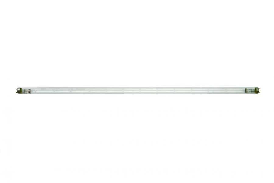 Low pressure discharge lamp bactericidal DB 55