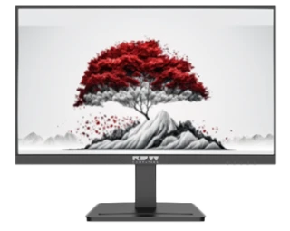 Monitor RDW2401B EMTC.467846.006-05