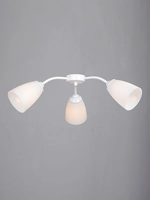 General purpose fixed luminaire V3108-0/3PL