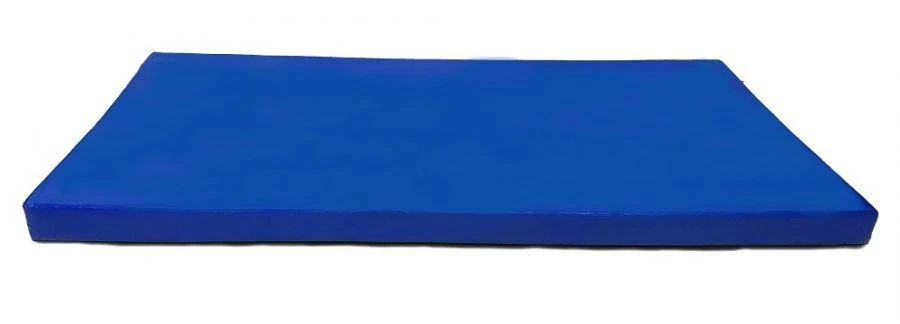 Gymnastic mat