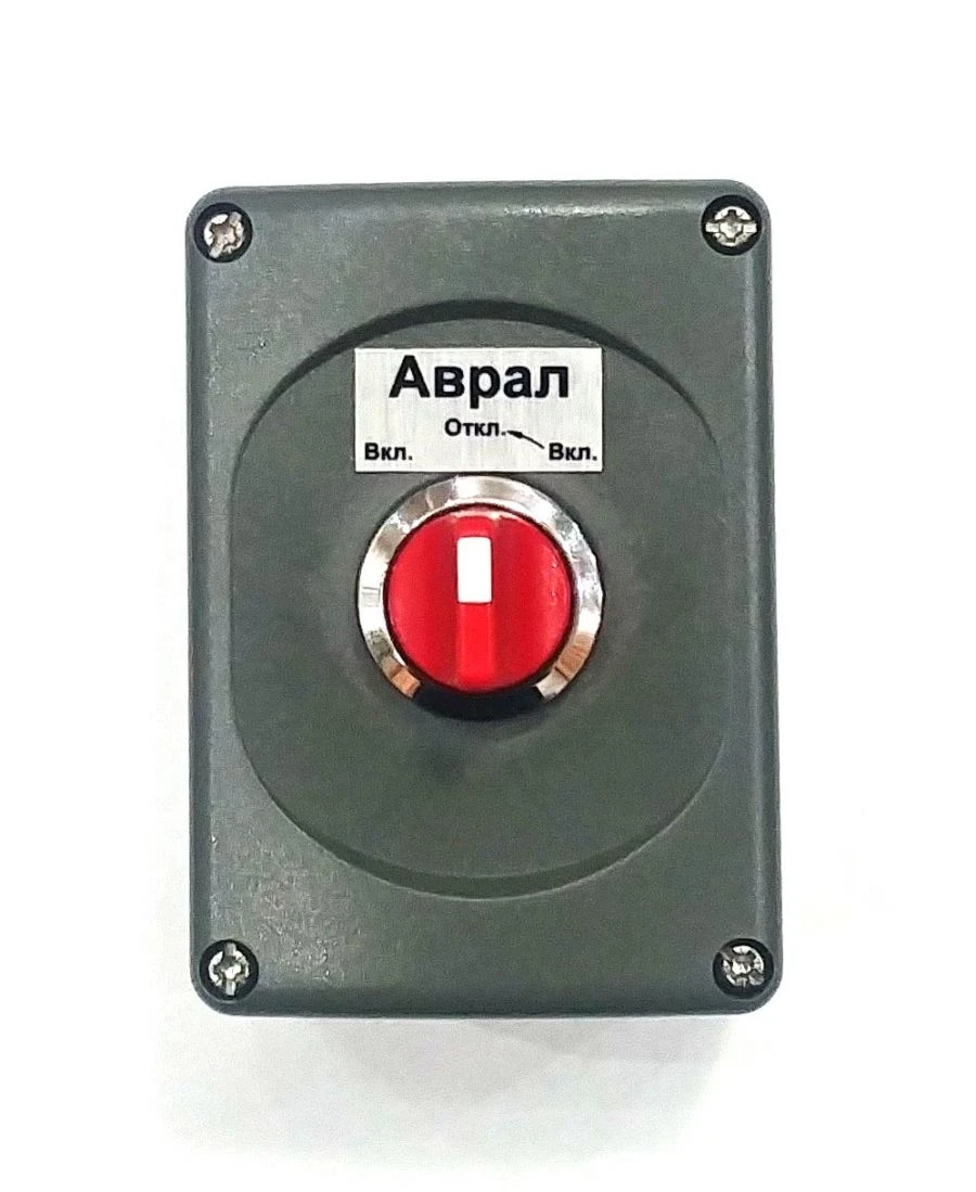 Push-button switch AS-29