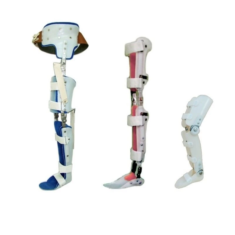 Ankle and knee joint apparatus AN2-01-OK