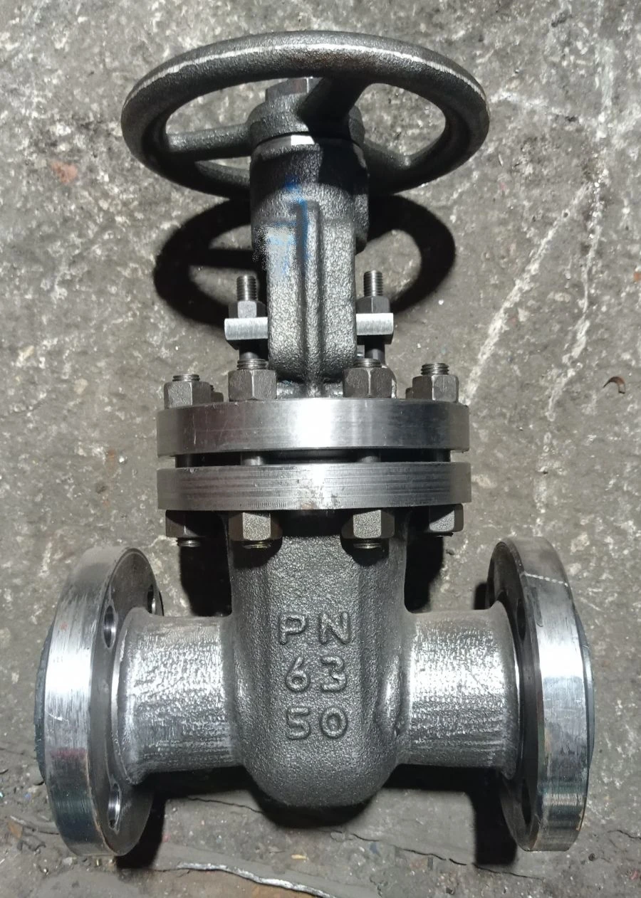 Steel wedge gate valve with sliding spindle and handwheel RN 6,3 MPa DN 50