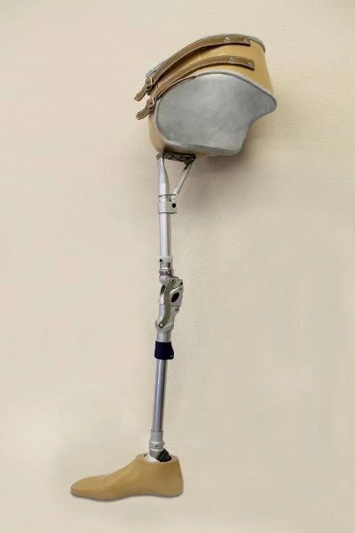 Modular Hip Separation Prosthesis PN8-13