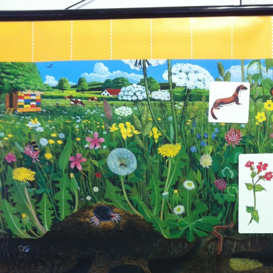 Magnetic poster "Natural community of a meadow"