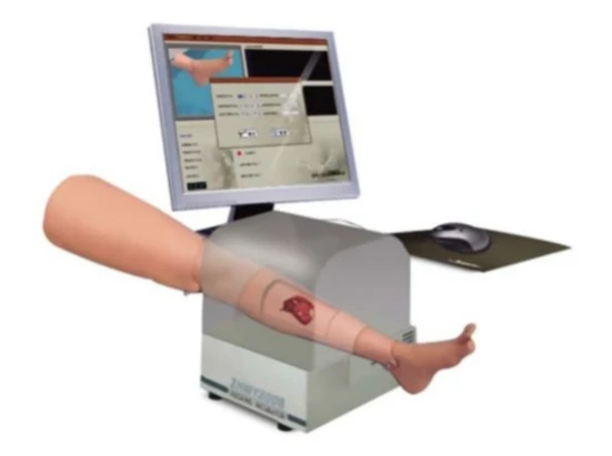 Bleeding simulator (lower extremity) G106-2