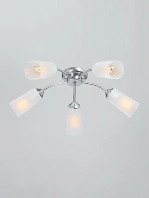 General purpose fixed luminaire V3759-9/5PL