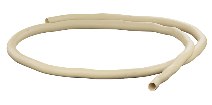 Xenoprosthesis of blood vessels preserved (from bovine arteries) "KemAngioprosthesis" TU 9444-001-57628698-200
