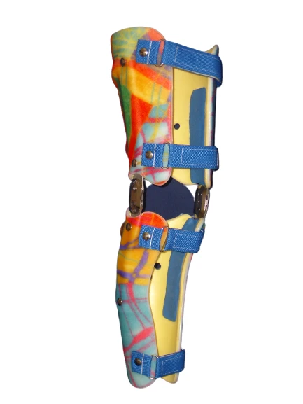 Knee joint apparatus AN4-30