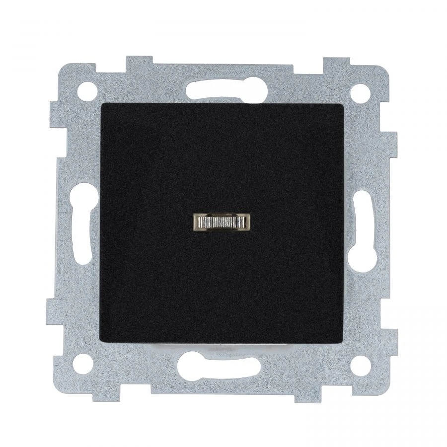 "AKSIOMA" Single-key switch mechanism with light-ind. C110-448 "anthracite"
