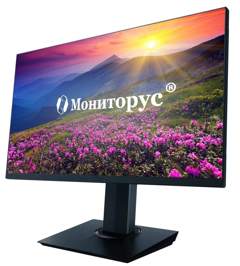 LCD monitor MONITORUS 2710/DP/220AC HS2710