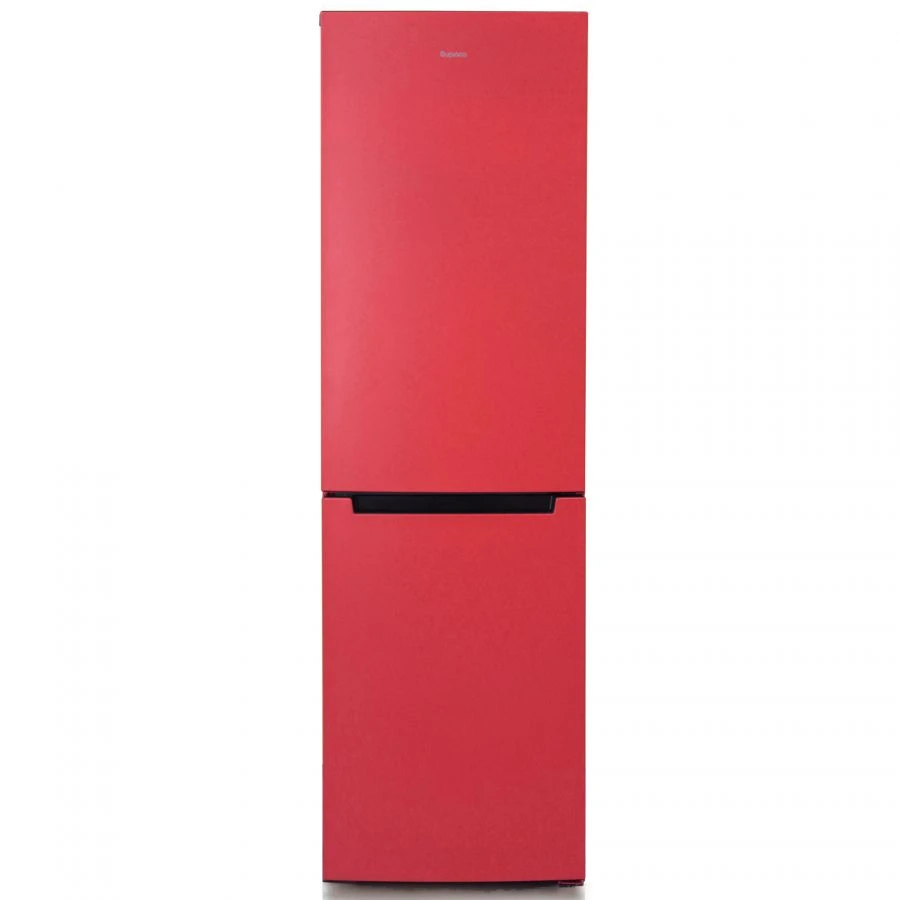 Refrigerator-freezer "Biryusa H880NF"