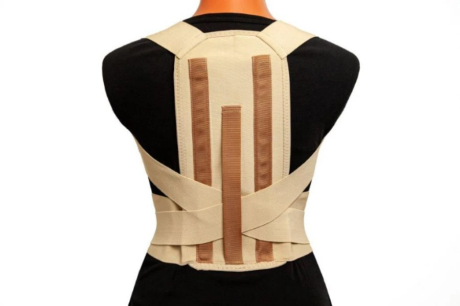 Elastic posture reclinator KR1-21