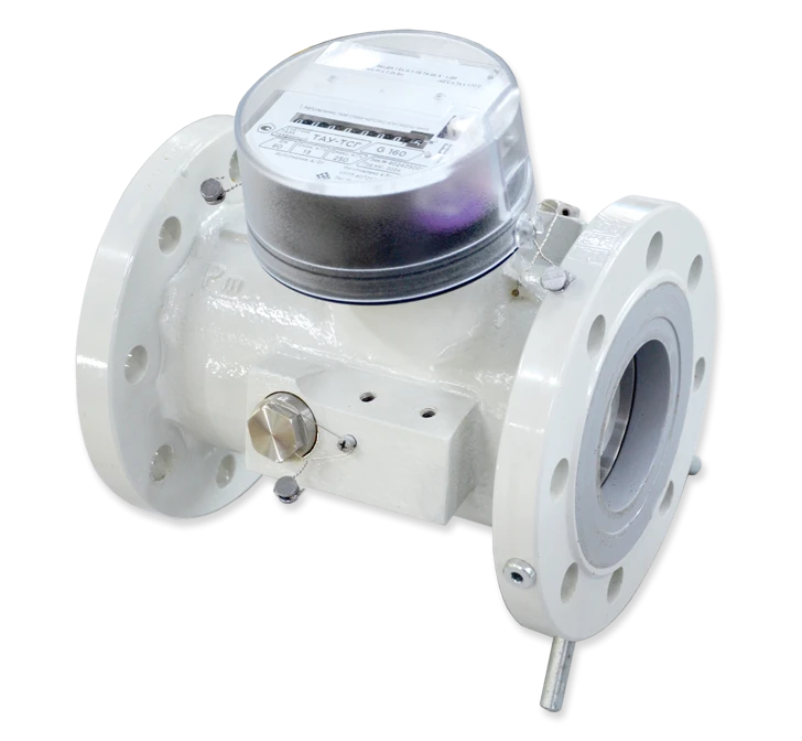 TAU-TSG turbine gas meters