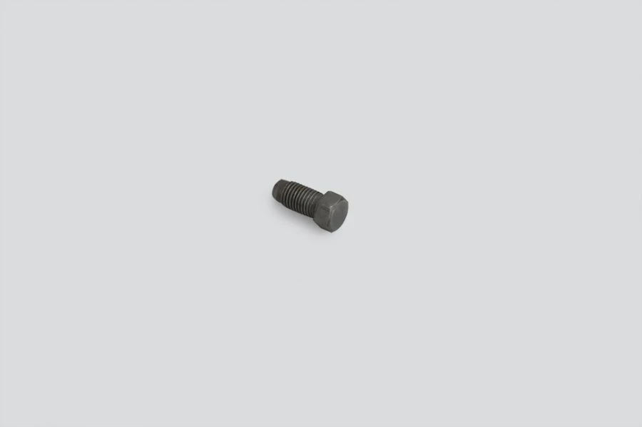 Shift locking screw 046900170211000