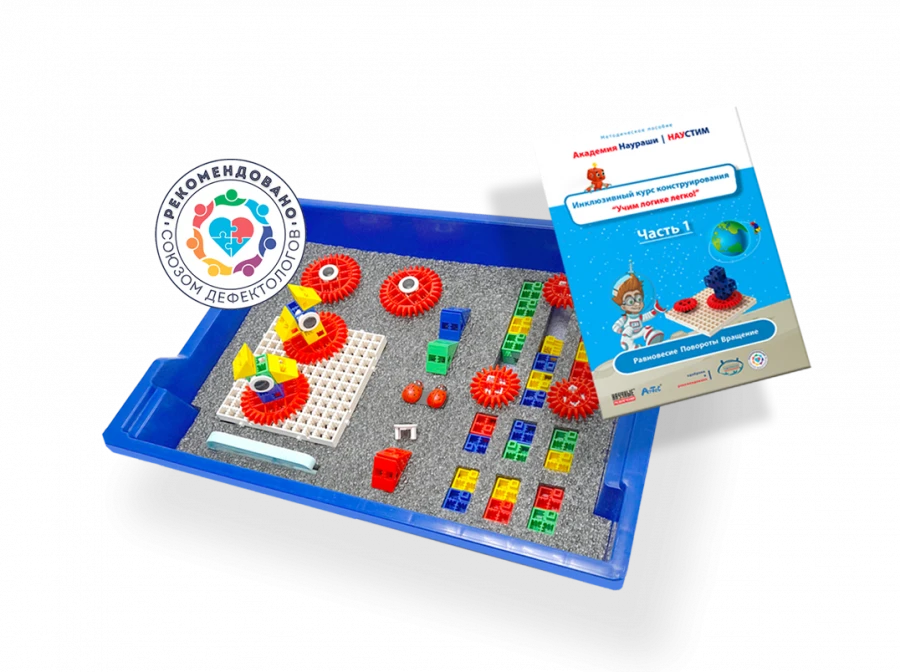 Naurashi Academy "Inclusive construction course "Teach logic easily!""