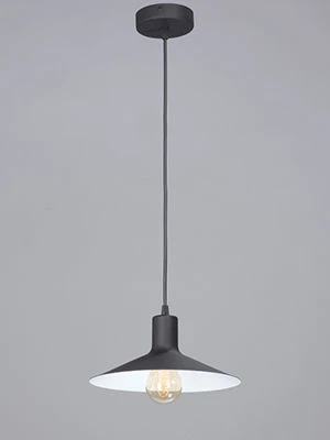 General purpose fixed luminaire V4825-1/1S
