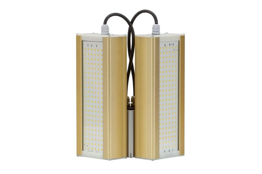 LED luminaire Module GOLD, console KM2-2, 5000K, 96W